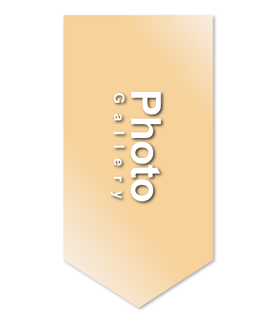 Photo Gallery